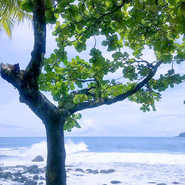 Tahiti Excursion Plage